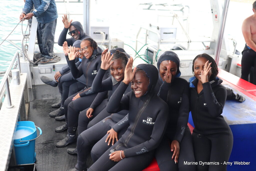 Shark cage diving, Gansbaai, South Africa