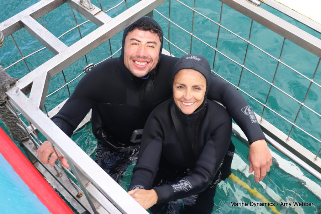 Shark cage diving, Gansbaai, South Africa