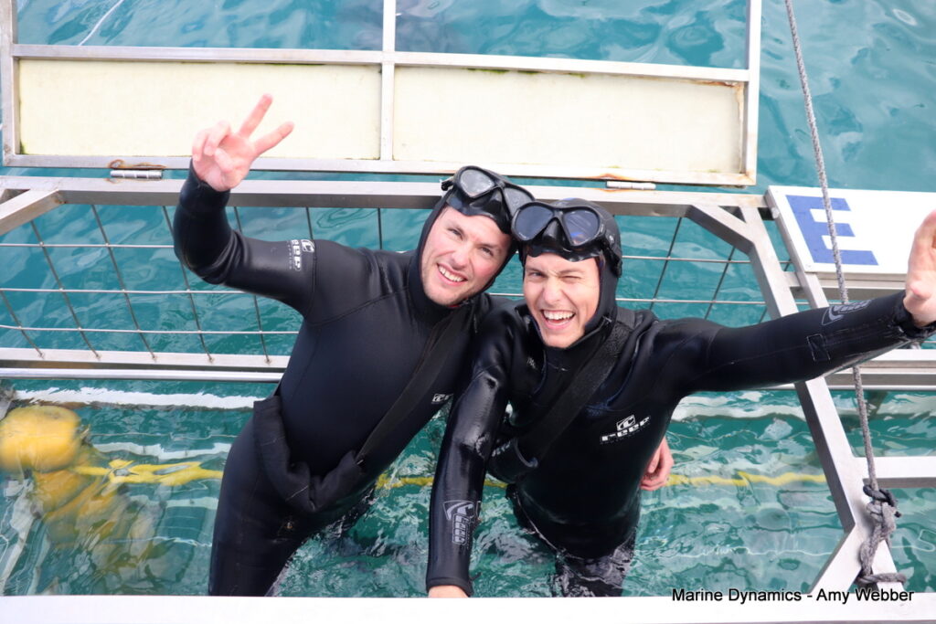 Shark cage diving, Gansbaai, South Africa