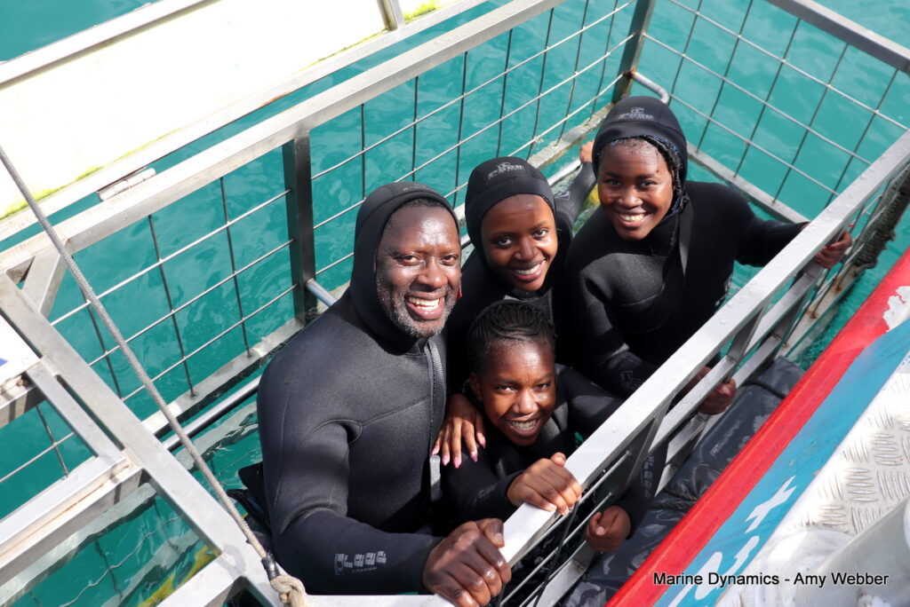 Shark cage diving, Gansbaai, South Africa