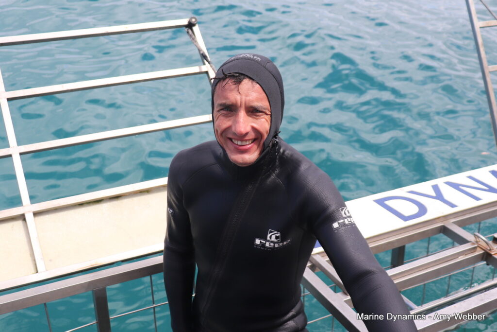 Shark cage diving, Gansbaai, South Africa
