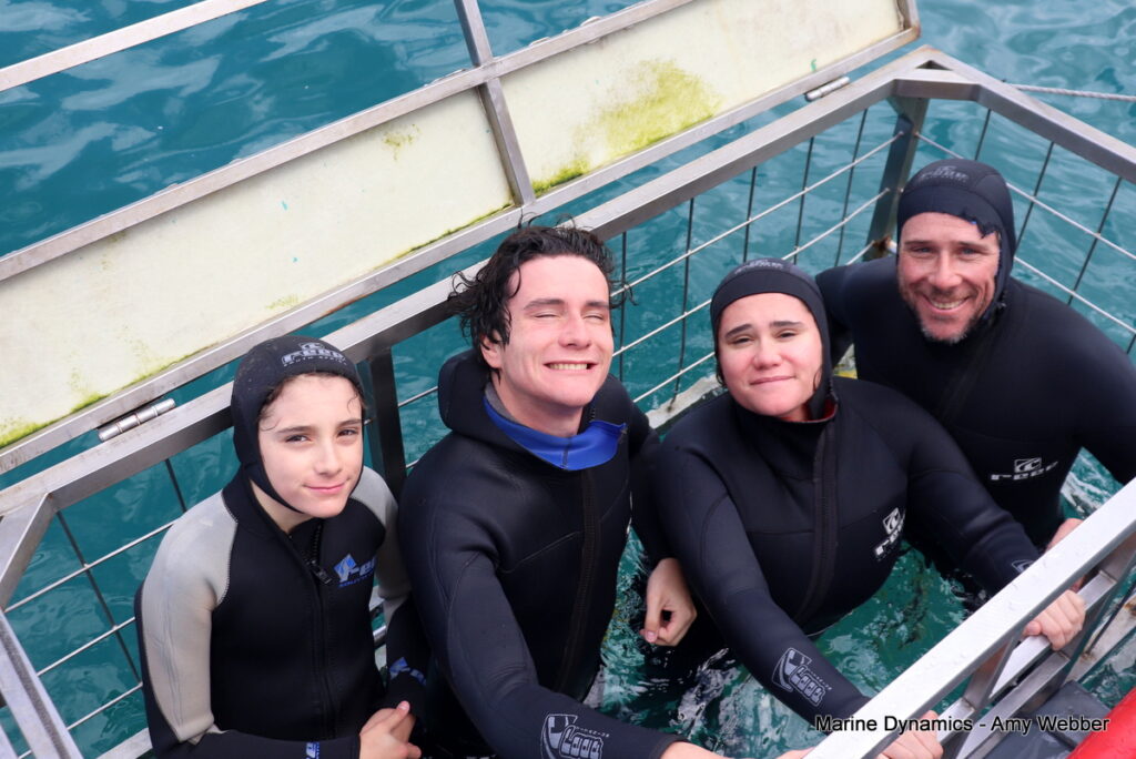 Shark cage diving, Gansbaai, South Africa