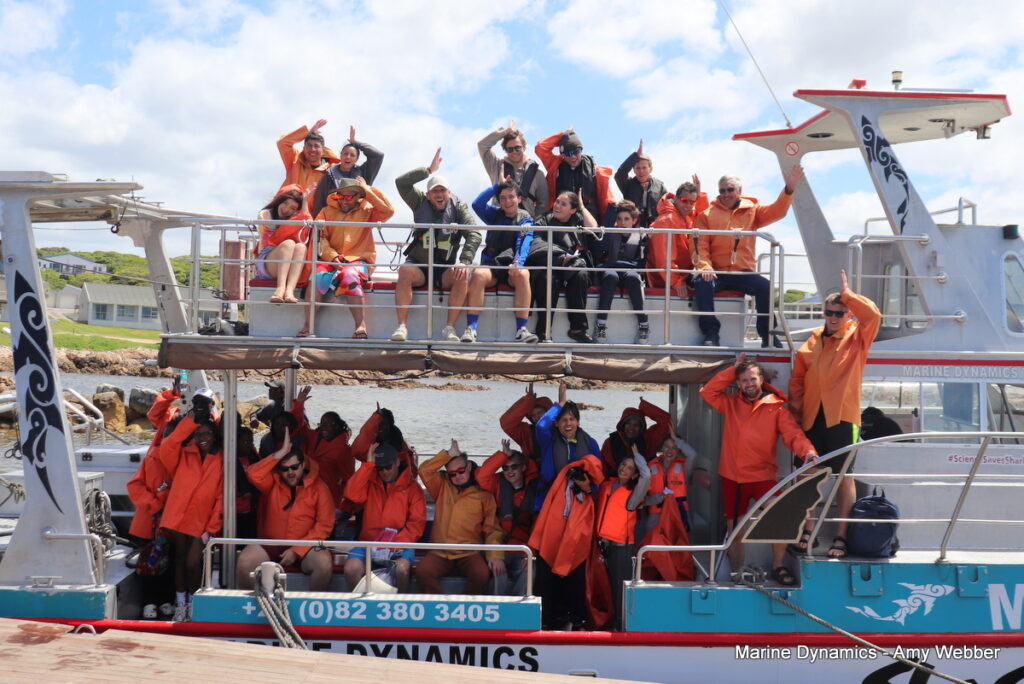 Shark cage diving, Gansbaai, South Africa