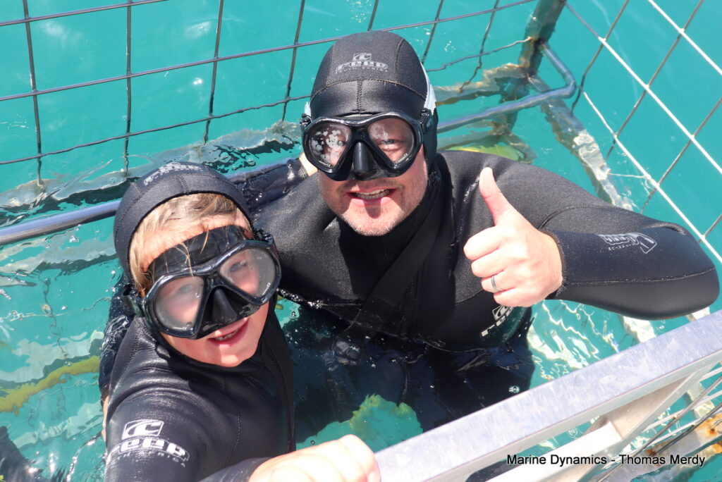 Shark cage diving, South Africa, Gansbaai