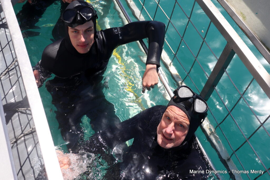 Shark cage diving, South Africa, Gansbaai