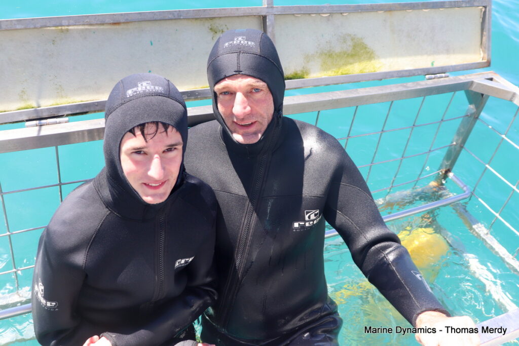 Shark cage diving, South Africa, Gansbaai