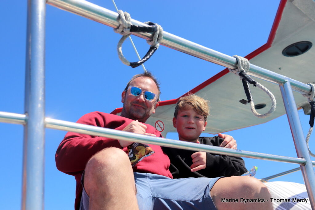 Shark cage diving, South Africa, Gansbaai