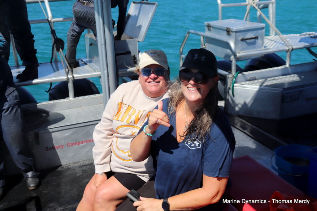 Shark cage diving, South Africa, Gansbaai