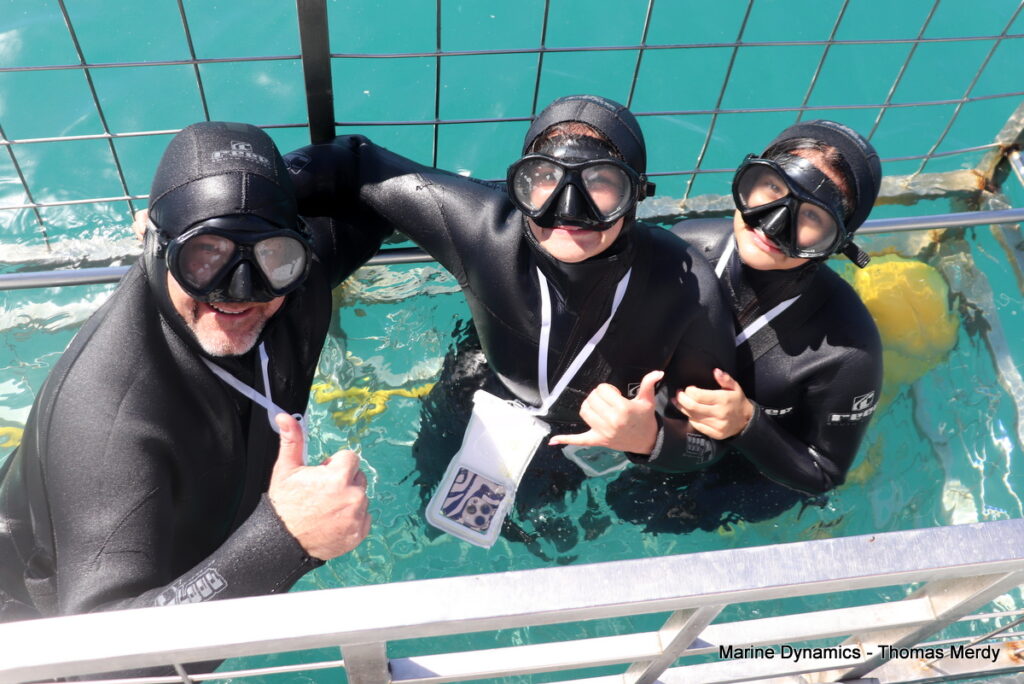 Shark cage diving, South Africa, Gansbaai