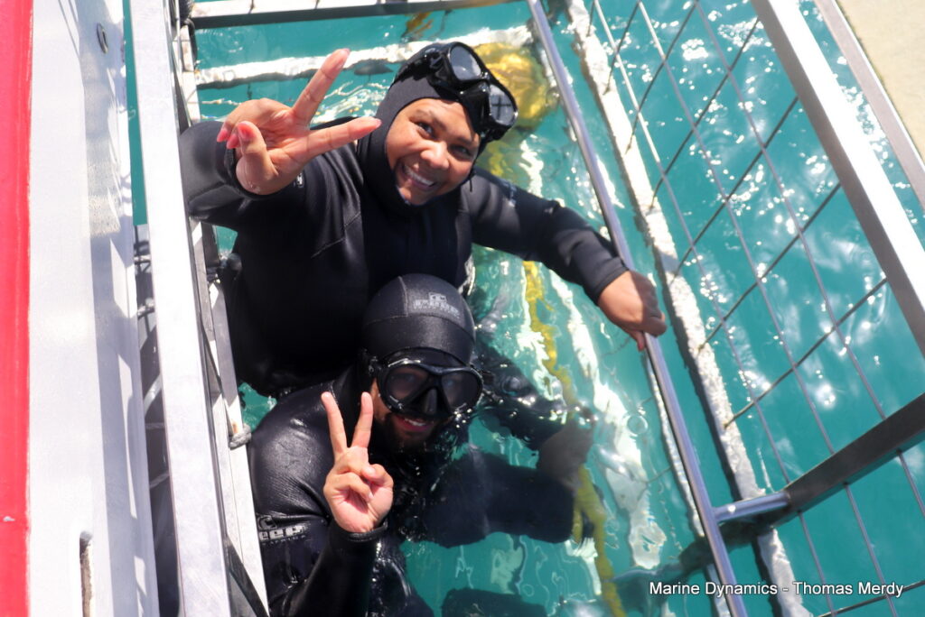 Shark cage diving, South Africa, Gansbaai