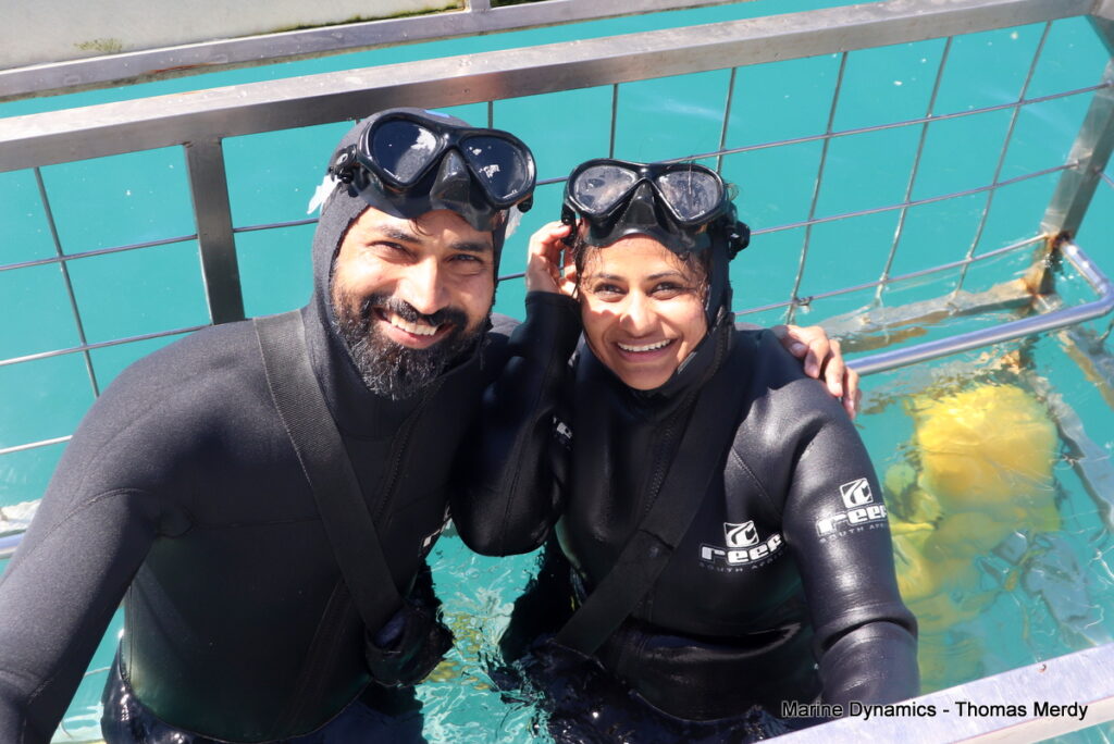 Shark cage diving, South Africa, Gansbaai