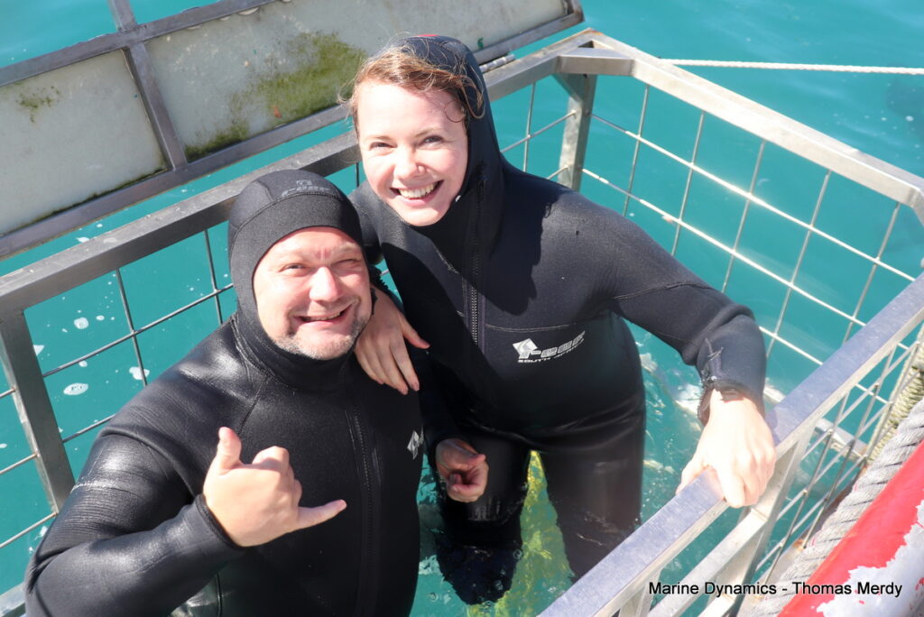 Shark cage diving, South Africa, Gansbaai