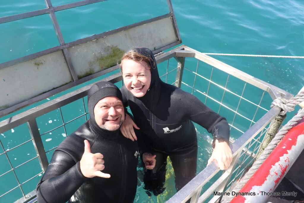 Shark cage diving, South Africa, Gansbaai
