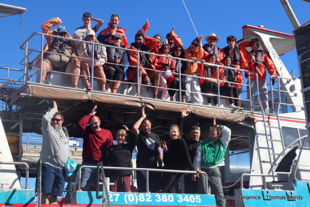 Shark cage diving, South Africa, Gansbaai
