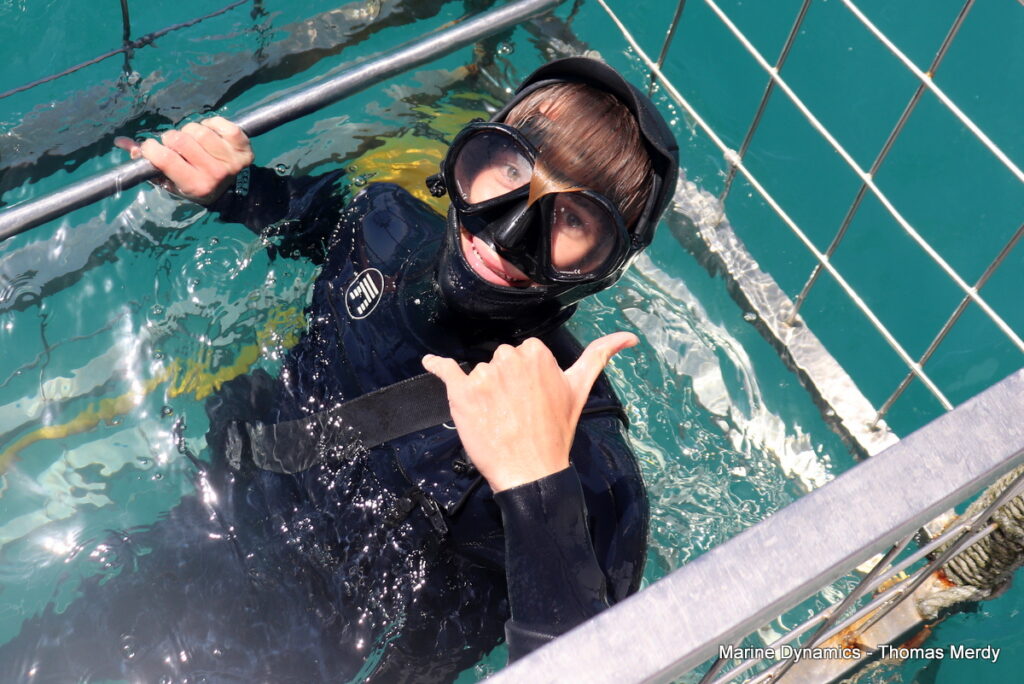 Shark cage diving, South Africa, Gansbaai