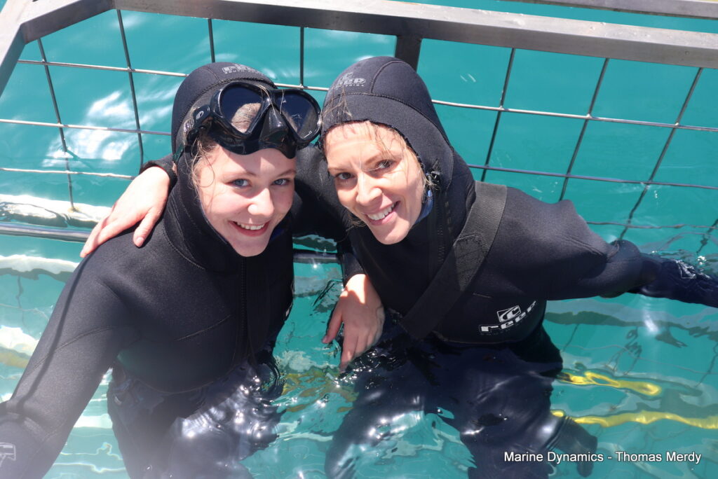 Shark cage diving, South Africa, Gansbaai