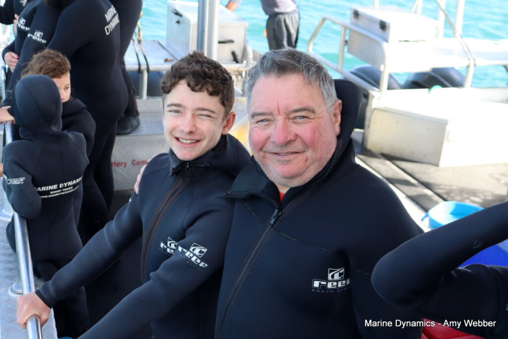 Shark cage diving, Gansbaai, South Africa