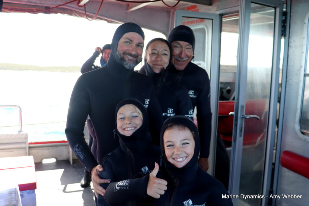 Shark cage diving, Gansbaai, South Africa