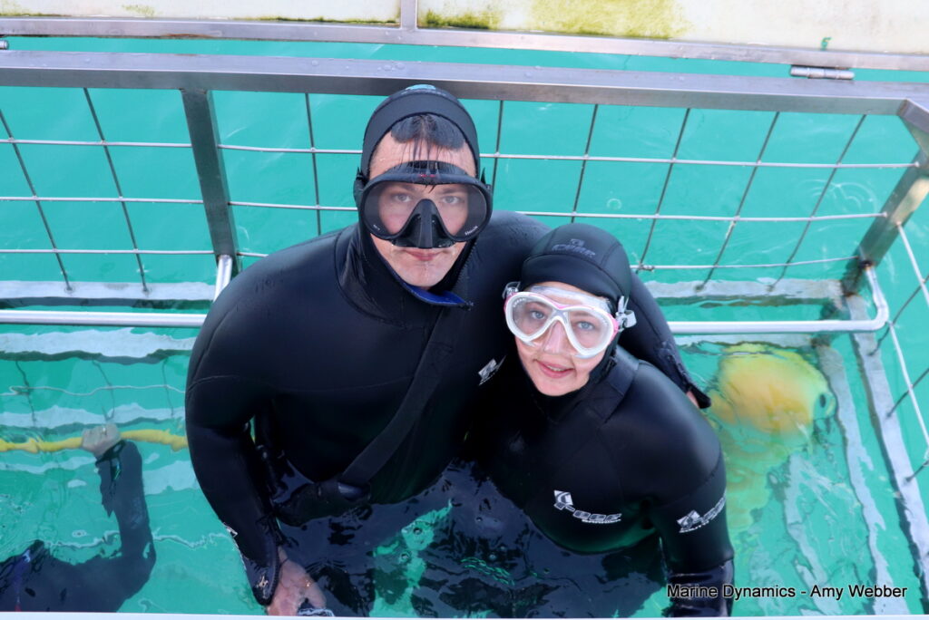 Shark cage diving, Gansbaai, South Africa