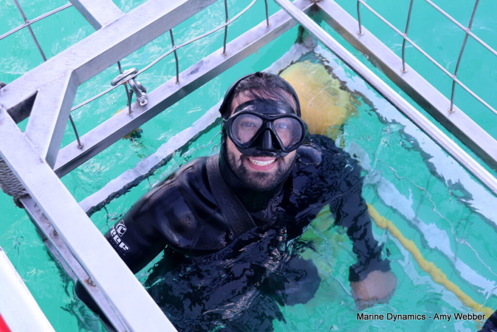 Shark cage diving, Gansbaai, South Africa