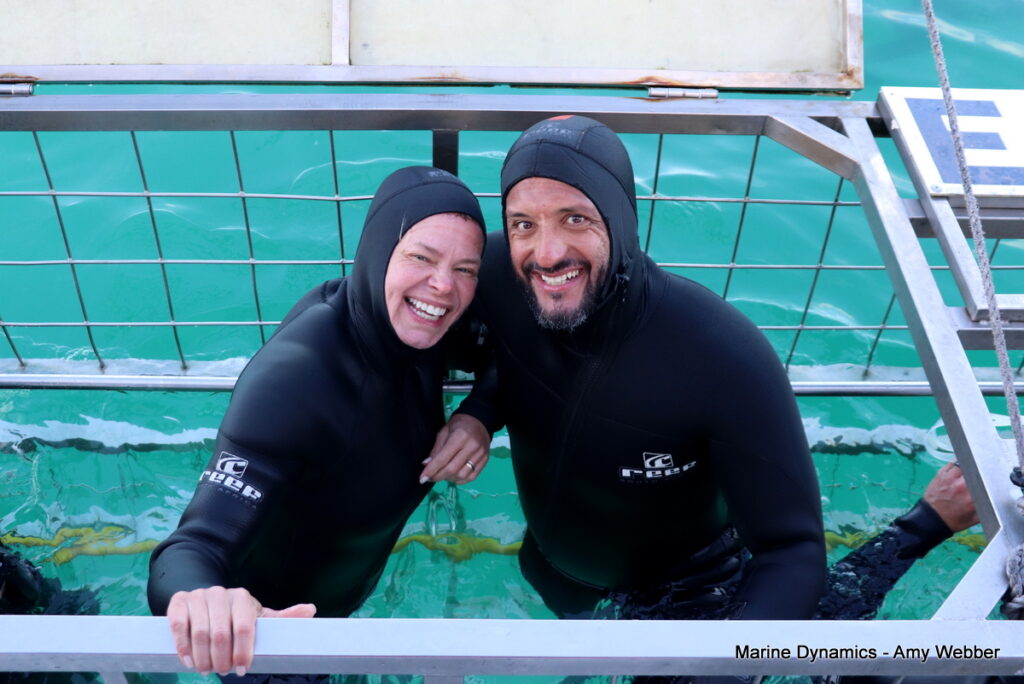 Shark cage diving, Gansbaai, South Africa
