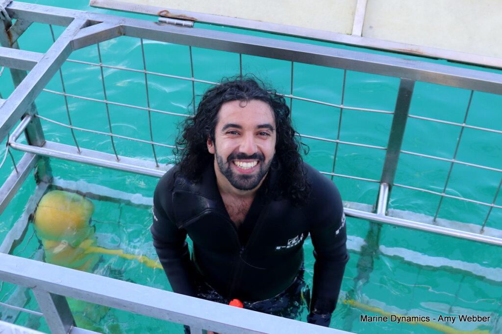 Shark cage diving, Gansbaai, South Africa