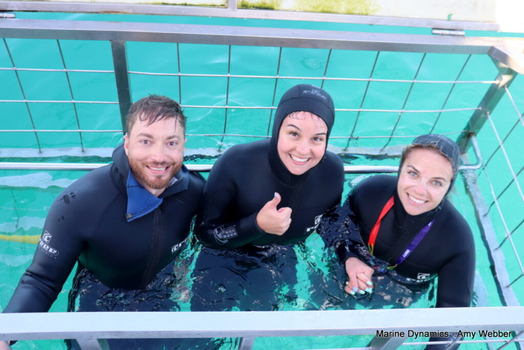 Shark cage diving, Gansbaai, South Africa