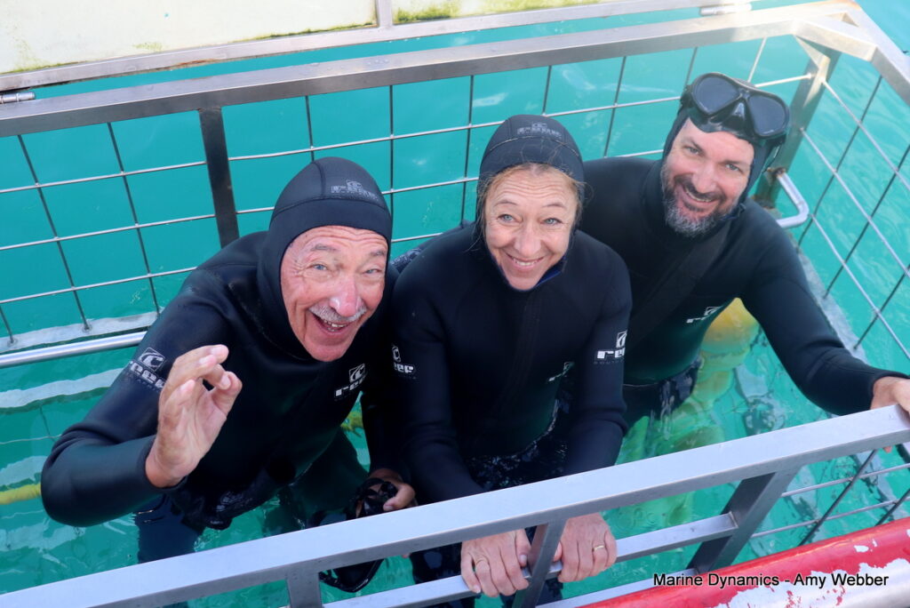 Shark cage diving, Gansbaai, South Africa