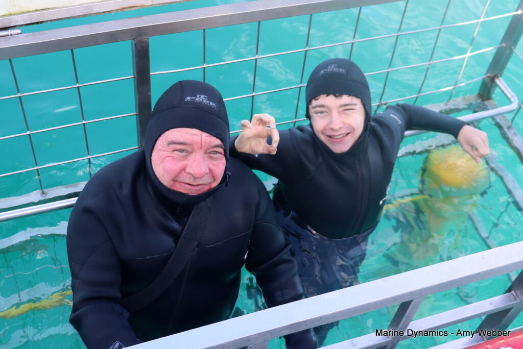 Shark cage diving, Gansbaai, South Africa