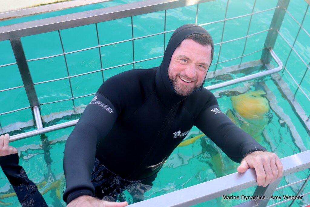 Shark cage diving, Gansbaai, South Africa