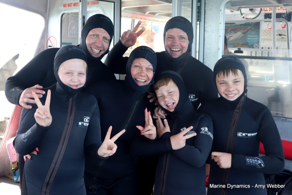 Shark cage diving, Gansbaai, South Africa