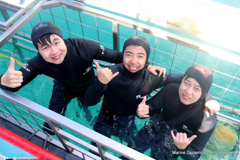 Shark cage diving, Gansbaai, South Africa