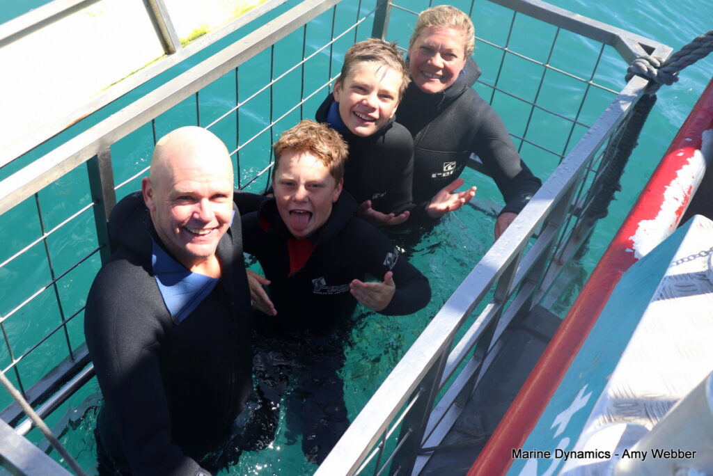 Shark cage diving, Gansbaai, South Africa