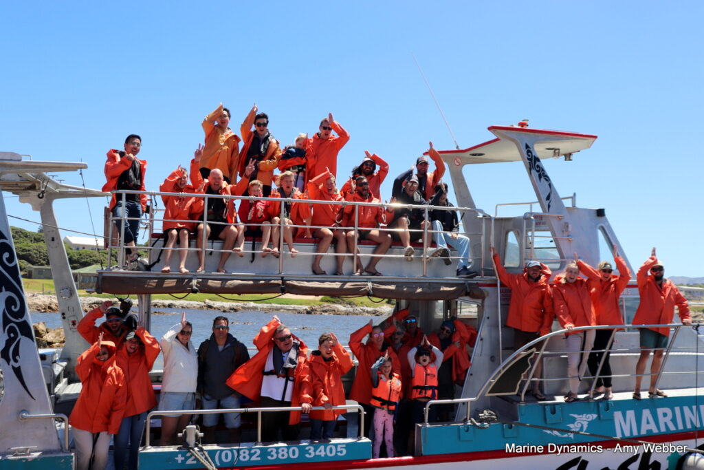 Shark cage diving, Gansbaai, South Africa