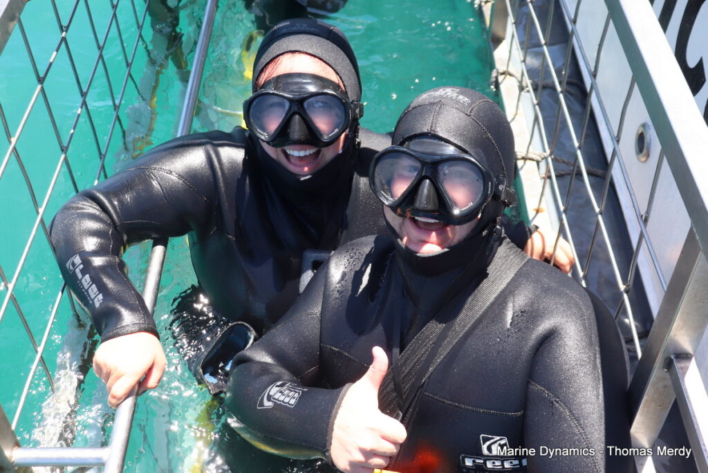 Shark cage diving, South Africa, Gansbaai