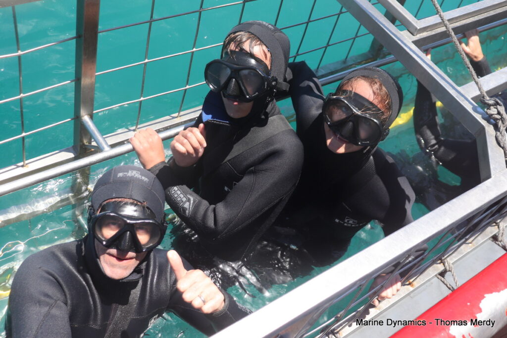 Shark cage diving, South Africa, Gansbaai