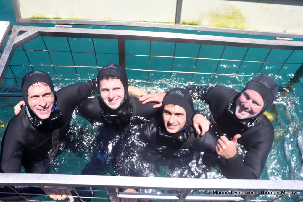 Shark cage diving, South Africa, Gansbaai