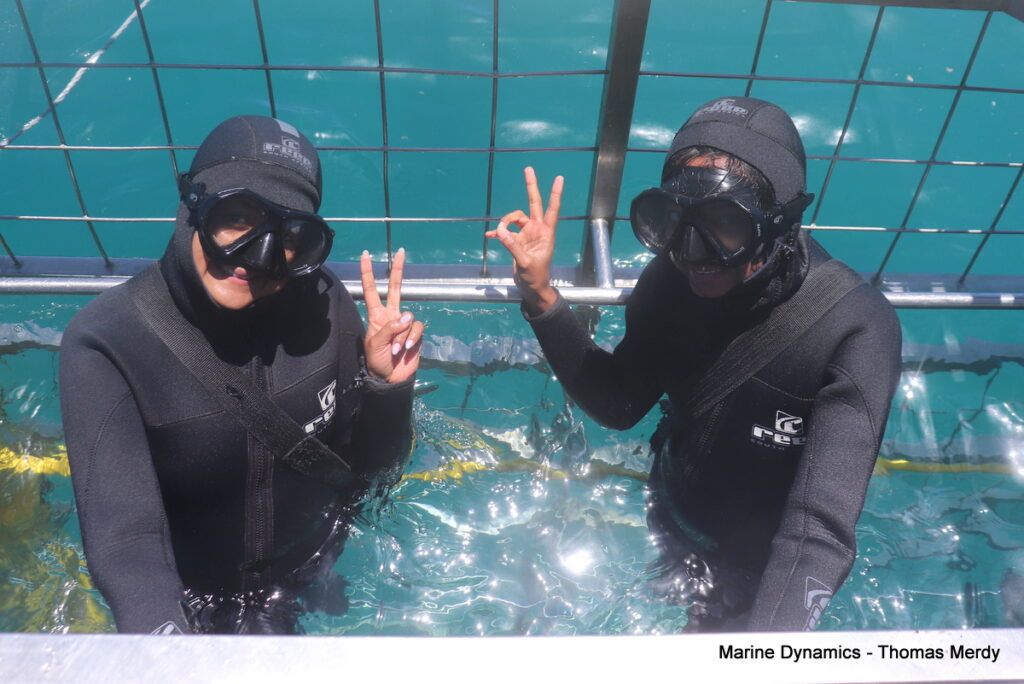 Shark cage diving, South Africa, Gansbaai