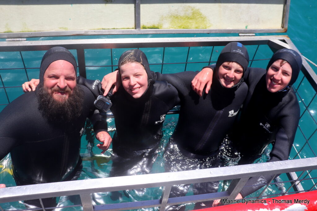 Shark cage diving, South Africa, Gansbaai