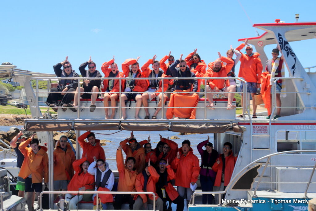Shark cage diving, South Africa, Gansbaai