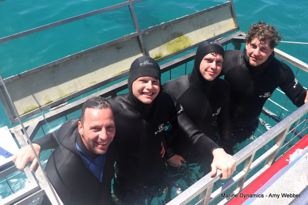 Shark cage diving, Gansbaai, South Africa