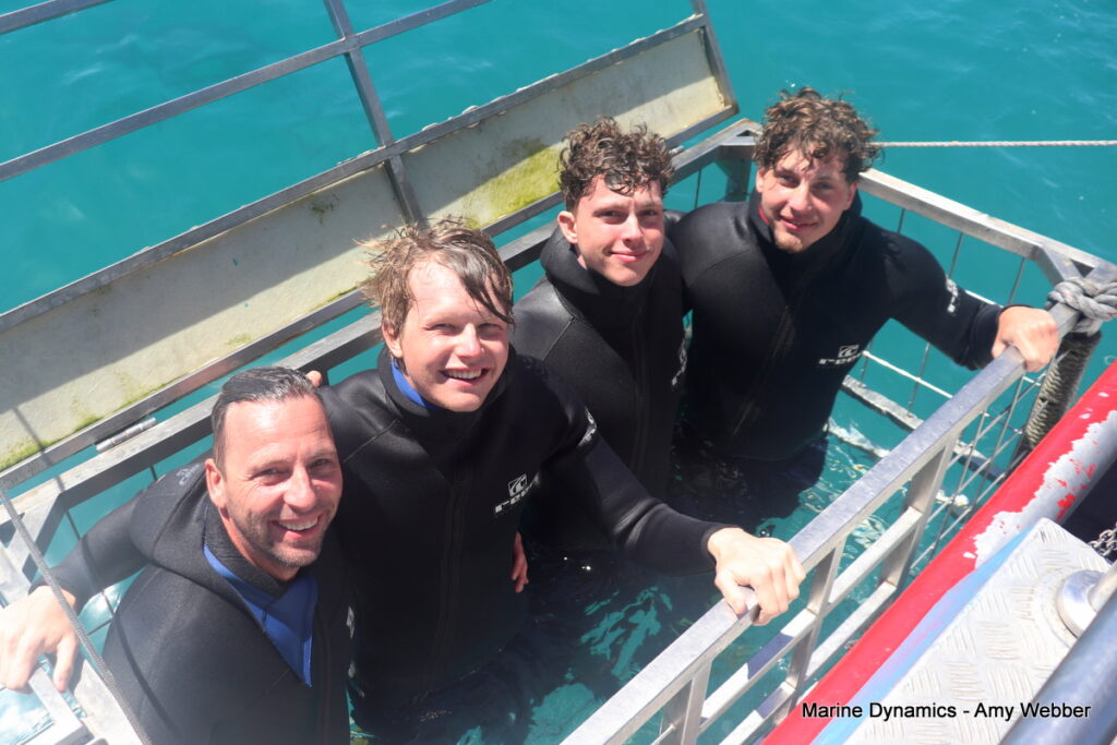 Shark cage diving, Gansbaai, South Africa