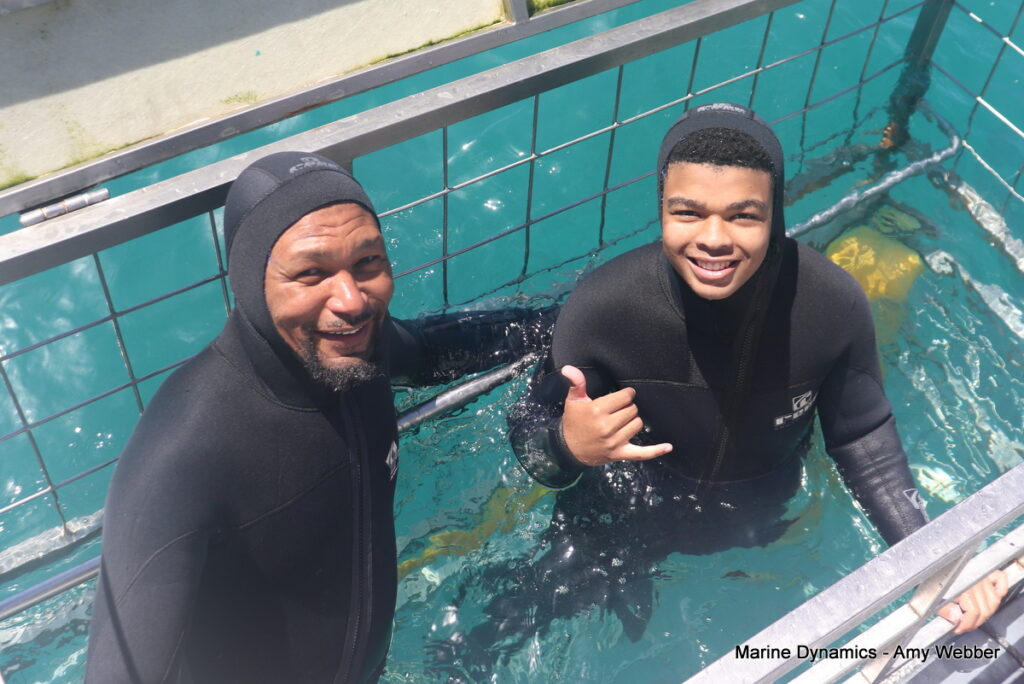 Shark cage diving, Gansbaai, South Africa