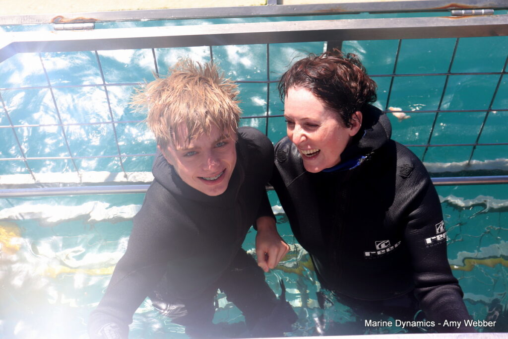Shark cage diving, Gansbaai, South Africa