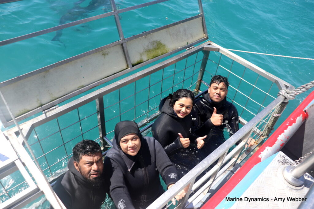 Shark cage diving, Gansbaai, South Africa
