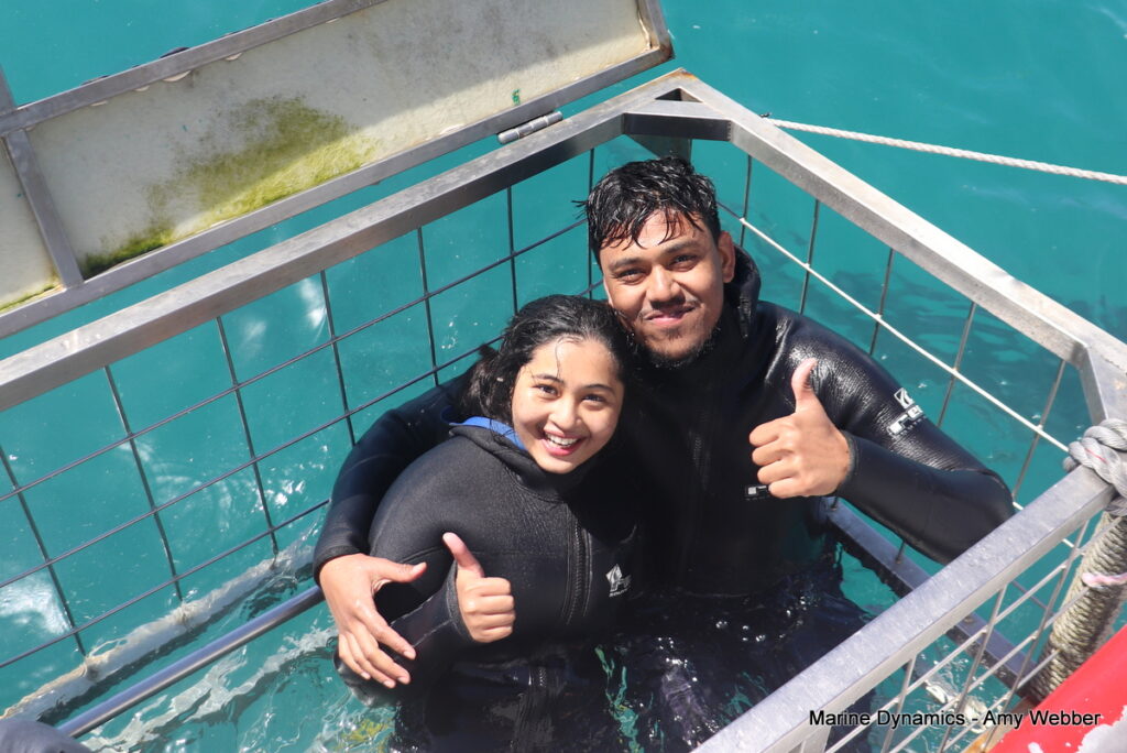 Shark cage diving, Gansbaai, South Africa