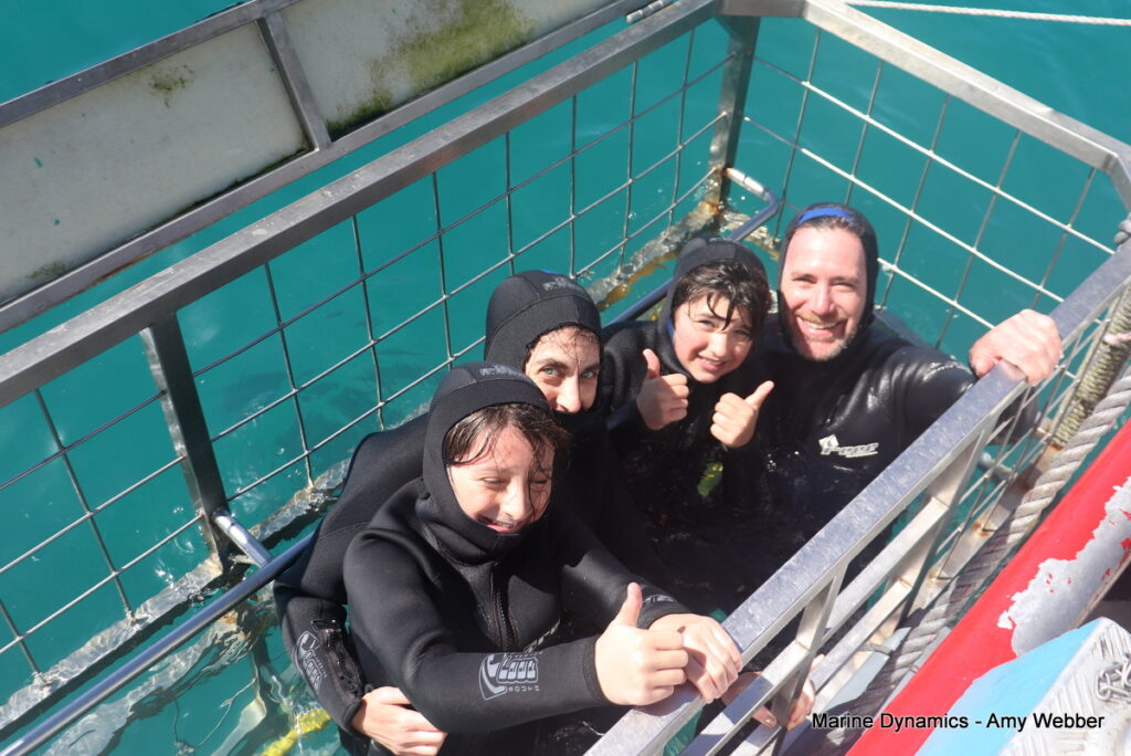 Shark cage diving, Gansbaai, South Africa