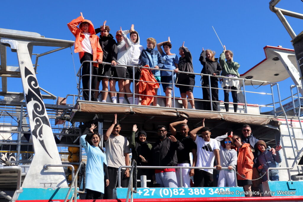Shark cage diving, Gansbaai, South Africa