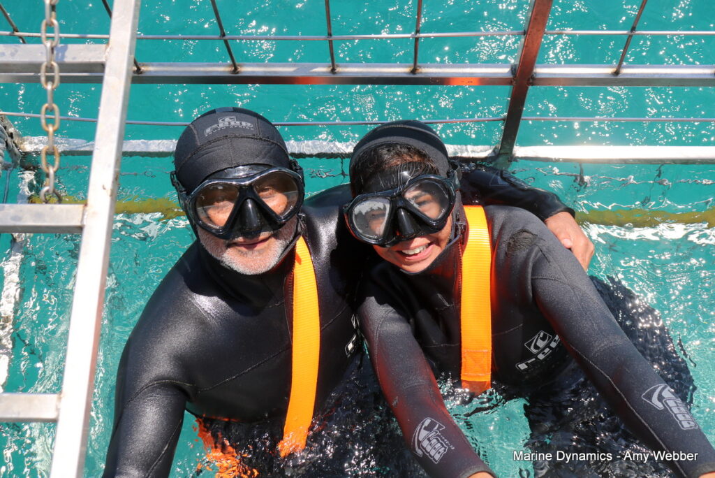 Shark cage diving, Gansbaai, South Africa