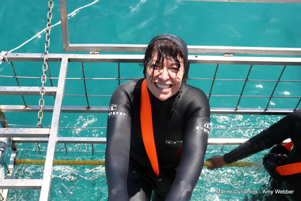 Shark cage diving, Gansbaai, South Africa